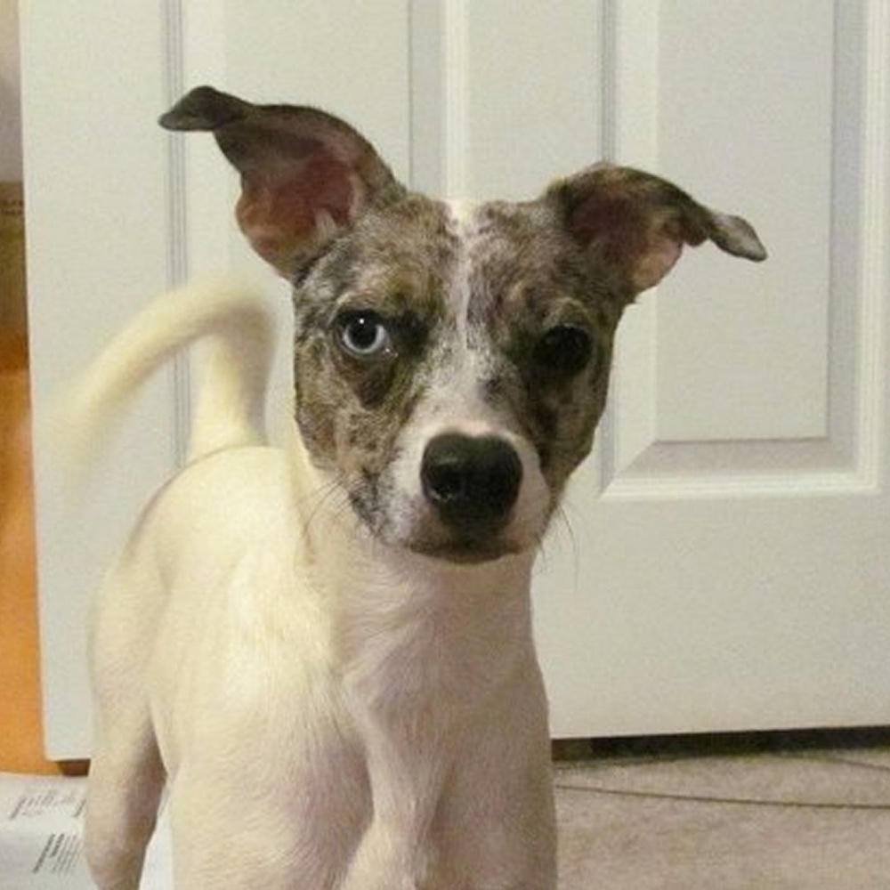 Bookmark Me - Meet your Posher, Angela